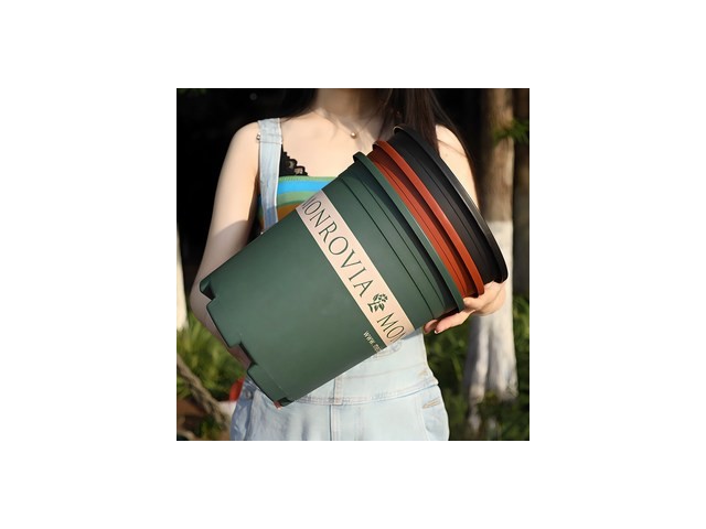 plantspace | 후기가 증명하는 최고의 제품 선택