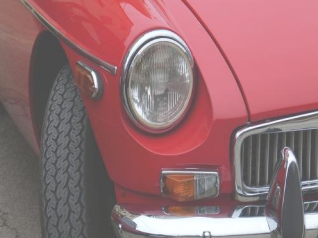 피부 탄력의 비밀: 피쉬콜라겐3000