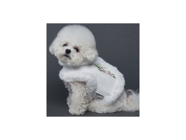 펫띵후리스한복 추천 이유 및 특징 정리