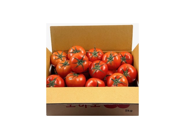 특등품다이어트토마토 내돈내산 솔직 사용후기