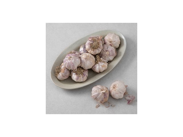 마늘kg 특별한 날을 위한 완벽한 선물 아이템