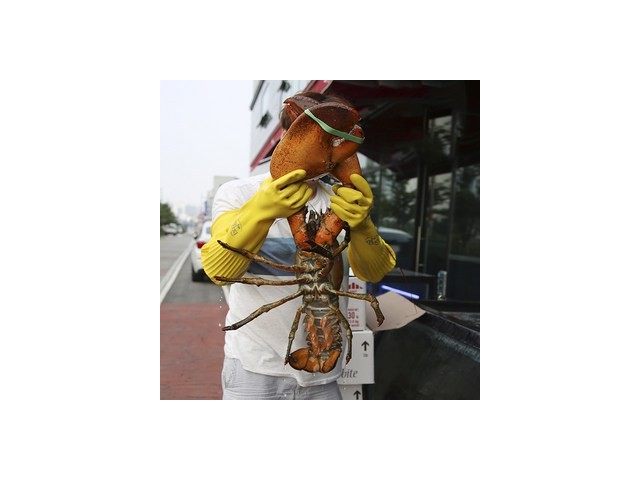 5kg랍스터 가이드 정보 공유